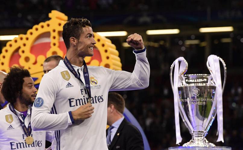 致敬，都柏林动物园将一只极度濒危的鹦鹉取名特洛伊-帕罗特（致敬之举： 都柏林动物园将一只极危鹦鹉命名为特洛伊-帕罗特）