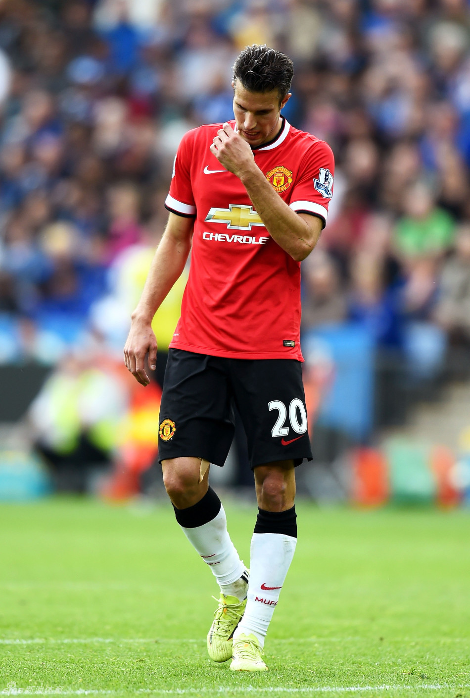 王长庆回应“摘桃”：启蒙不是我带的就算摘桃？我们考察了200多人（王长庆回应“摘桃”质疑：启蒙不是我带就算摘桃吗？已考察200多人）